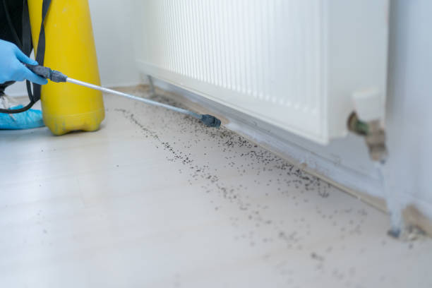 Trusted Susquehanna Trails, PA Pest Control Experts